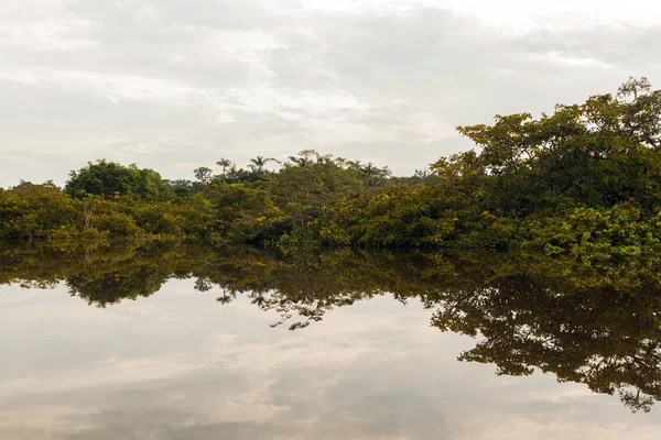 Cuyabeno národní Park, Jižní Amerika — Stock fotografie