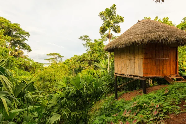 Lodge mitten im Dschungel — Stockfoto
