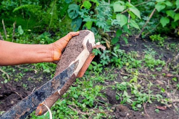 Mujer indígena está pelando una raíz de yuca — Foto de Stock