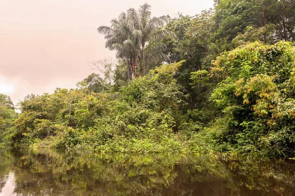 Río Cuyabeno, Reserva de Vida Silvestre Cuyabeno — Foto de Stock