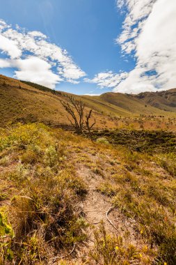 Andes ikinci Himalaya sonra en yüksek