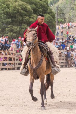 Genç Latin kovboy öğrenme binmek A at için