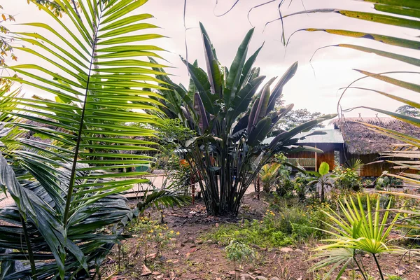 Gros plan d'un loge écologique — Photo