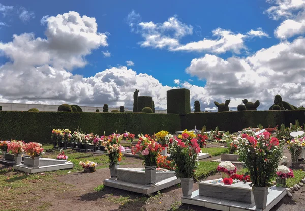 Cemitério Topiary De Tulcan, Carchi, Equador — Fotografia de Stock