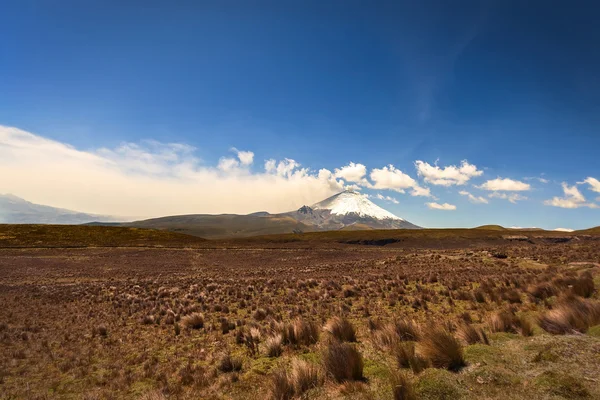 Asche- und Dampfwolke des Vulkans Cotopaxi — Stockfoto