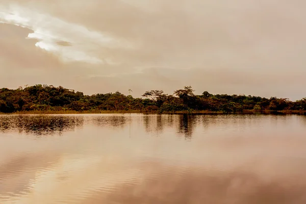 Cuyabeno River, amazonská džungle — Stock fotografie