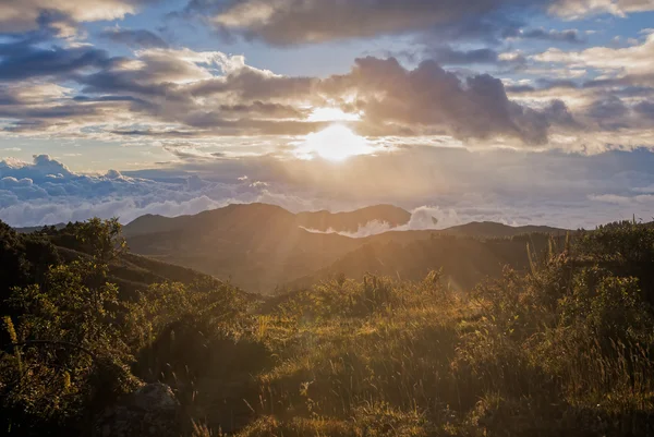 Güney Amerika and Cordillera