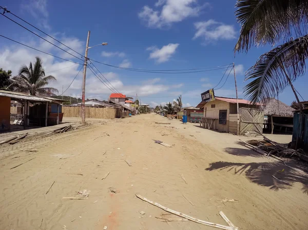 Ekvador büyük deprem, Güney Amerika