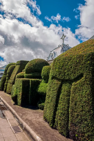 Tulcan staat bekend om drie hectare Topiary tuin begraafplaats — Stockfoto