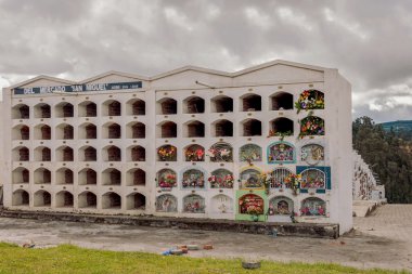 Budama sanatı Bahçe mezarlığı, Ekvador, Güney Amerika