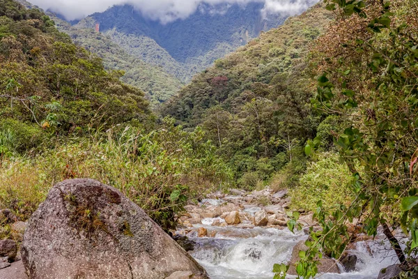Machay řeky stezka, Jižní Amerika — Stock fotografie