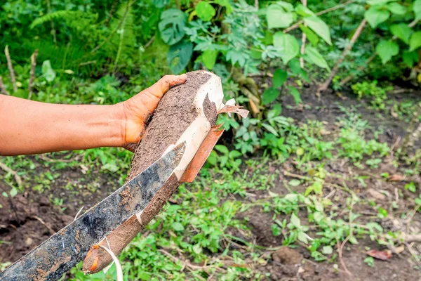 Yucca kök yerli kadın soyma