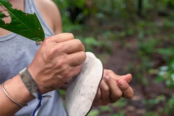 Indigenous Guide Drawing On A Huge Mushroom — Stock Photo, Image