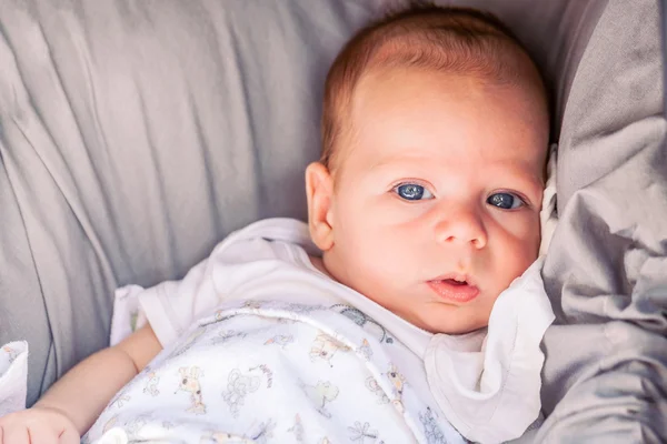 Retrato de bonito menino de 4 meses — Fotografia de Stock