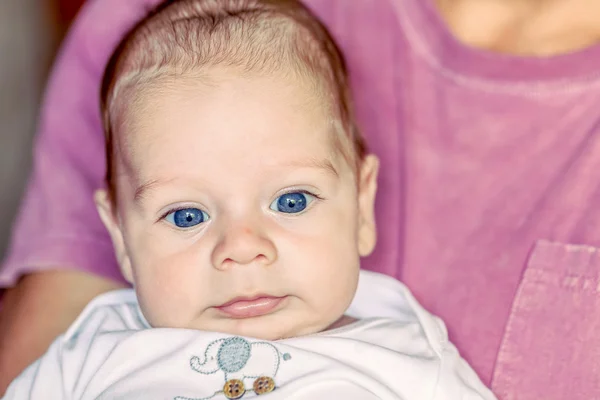 Retrato de bonito menino recém-nascido de 4 meses — Fotografia de Stock