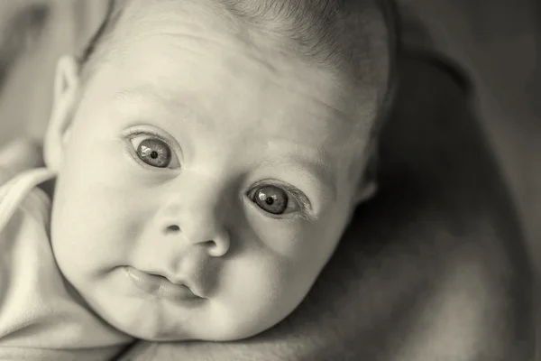 Retrato monocromático de recém-nascido bonito de 4 meses — Fotografia de Stock