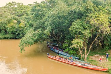 Lago Agrio, Amazon orman, Güney Amerika