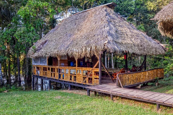 Eco Lodge bambu, Amazon orman yaptı
