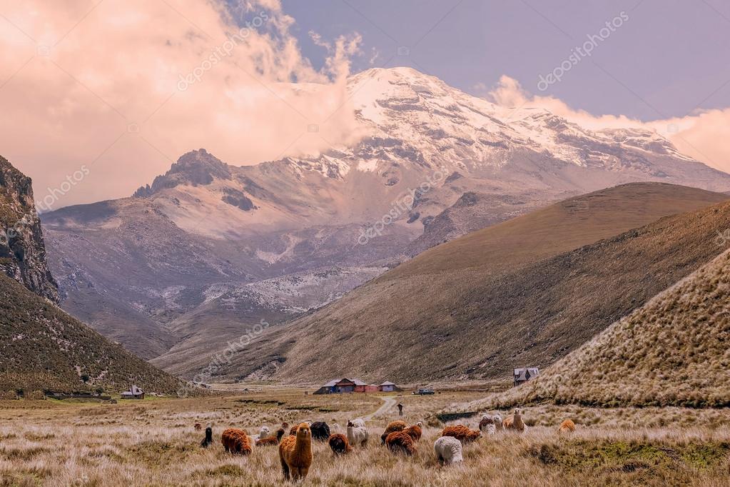 KalypsoWorldPhotography