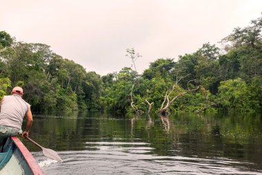 Cuyabeno Nehri, Ecuador