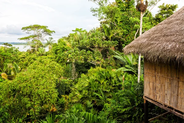 Eco Loge, Parc National Yasuni — Photo