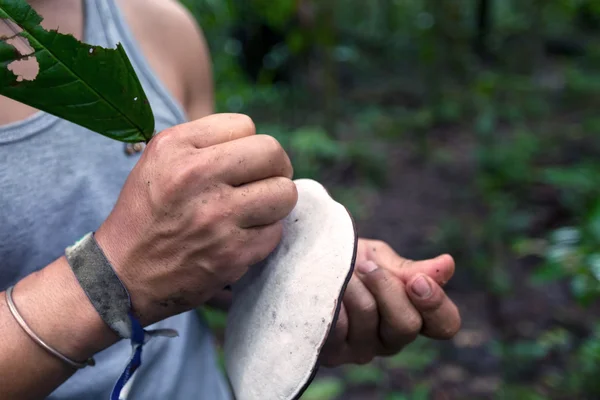 Indigenous Guide Drawing On A Huge Mushroom — Stock Photo, Image