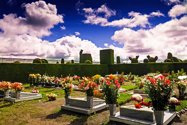 Tombe preparate nel cimitero di Tulcan, Ecuador Immagine Stock