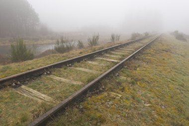 Eski demiryolu hattı Borkense sahası Hollanda