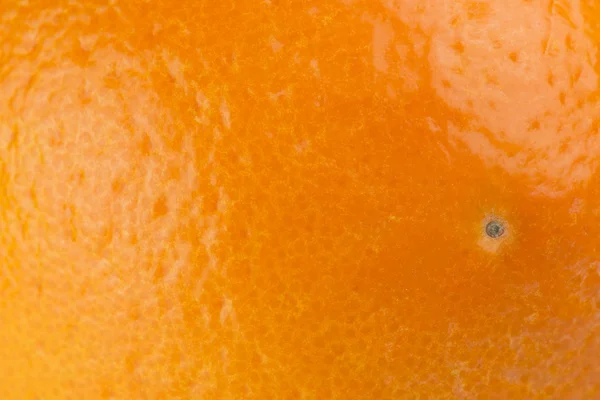 Detalhe laranja da casca — Fotografia de Stock