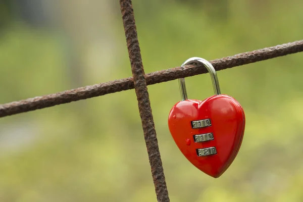 Rode hangslot in hart vorm — Stockfoto
