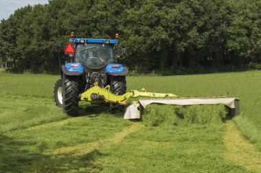 Mavi traktör ve biçme makinesi ile biçme mera