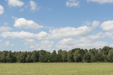 mavi gökyüzü ile mowed çayır