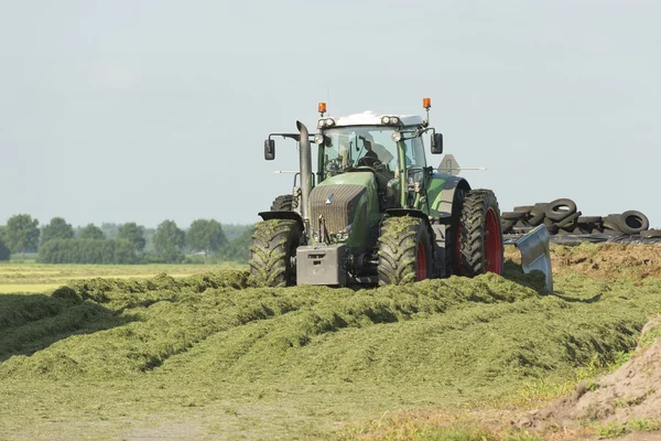 Silage with a large tractor — Stock Photo, Image