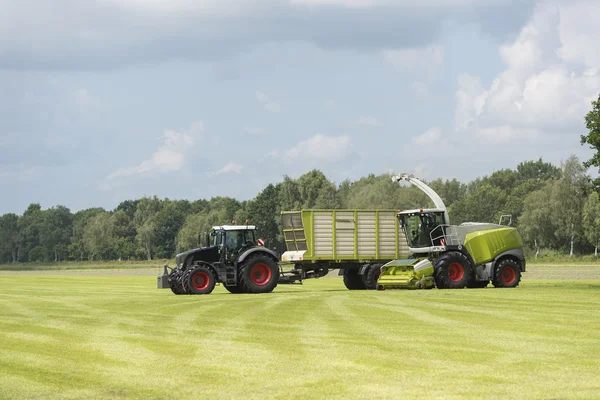 Takarmány betakarító és a fű a rakodó és traktor szállítás — Stock Fotó