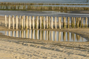 Satır groynes sahilde