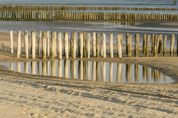 Rijen groynes op het strand — Stockfoto