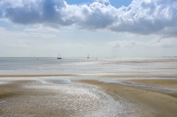 Mar Wadden Maré Baixa Com Pedaços Secos Lamas Vistas Ilha — Fotografia de Stock