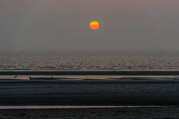 Orangefarbene Sonne Über Der Nordsee Vom Strand Der Wattenmeerinsel Terschelling — Stockfoto