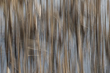 Soyut kamışı kaynaklanıyor