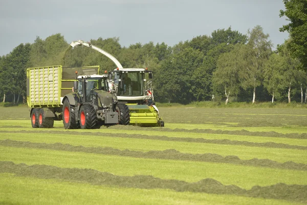 Sklízeč píce a dopravu trávy s zelený traktor — Stock fotografie