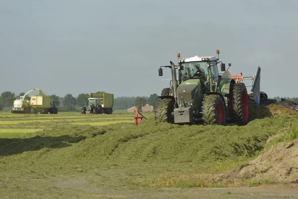 Vágott grass aprítás és a traktor szilázs — Stock Fotó