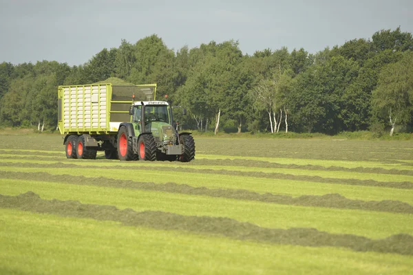 Doprava posečené trávy s zelený traktor — Stock fotografie