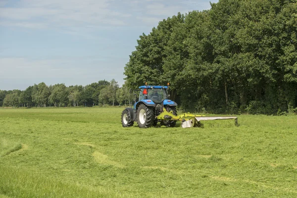 Grasland maaien met blauwe trekker — Stockfoto