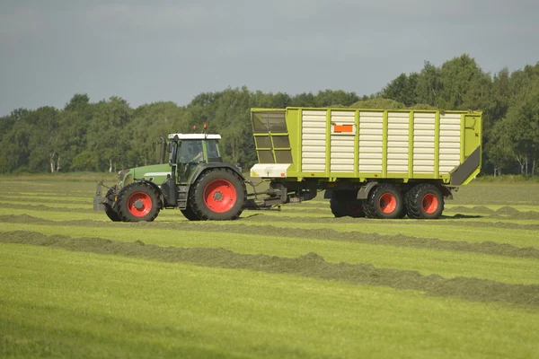 Doprava posečené trávy s zelený traktor — Stock fotografie