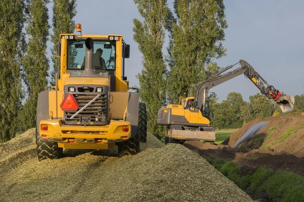 Agricultura ensilaje de maíz triturado — Foto de Stock