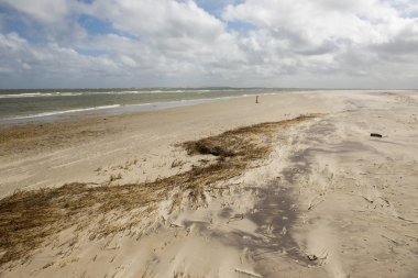 Terschelling Doğu Plajı