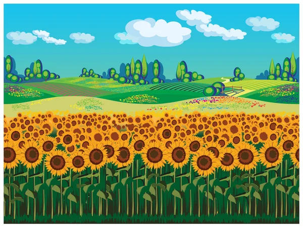 Paisaje escénico con girasoles — Archivo Imágenes Vectoriales