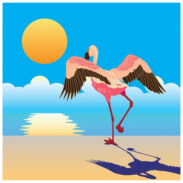 Flamingo on the shore — Stock Vector