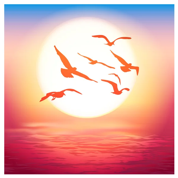 Ptáci při západu slunce — Stockový vektor