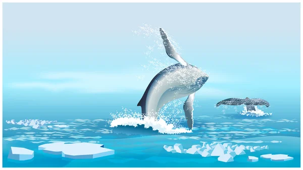 Wale im nördlichen Ozean — Stockvektor